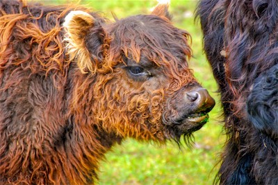 DSC_3524.jpg