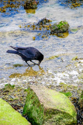 DSC_3535.jpg