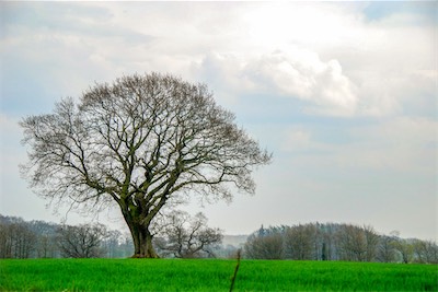 DSC_3543.jpg