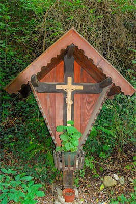 DSC_3973.jpg