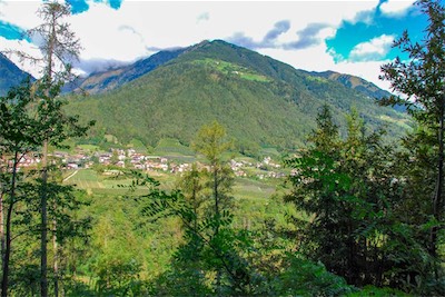 DSC_3974.jpg