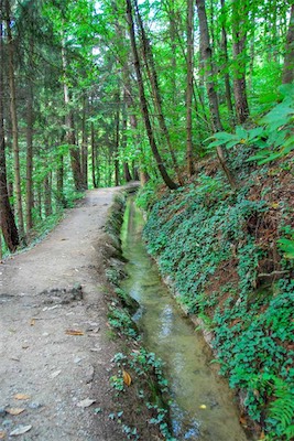 DSC_3977.jpg