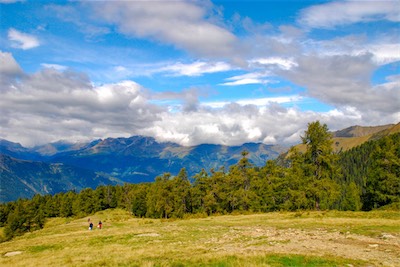 DSC_4013.jpg