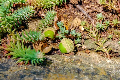 DSC_4061.jpg