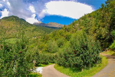 DSC_4065.jpg