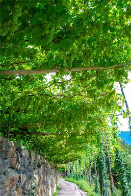 DSC_4070.jpg