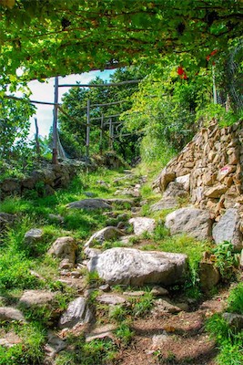 DSC_4096.jpg