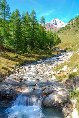 DSC_4192.jpg