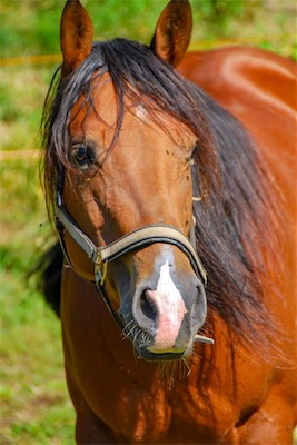 DSC_4206.jpg