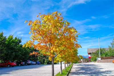 DSC_4214.jpg