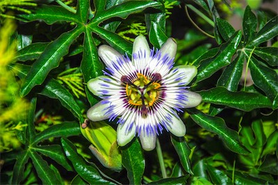 DSC_3573.jpg