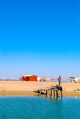 DSC_3739.jpg