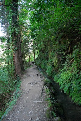 dsc_5990.jpg