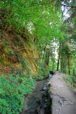 dsc_5991.jpg