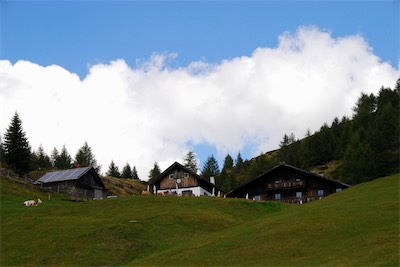 dsc_6005.jpg
