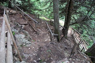 dsc_6009.jpg