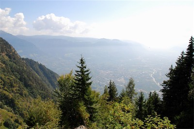 dsc_6051.jpg