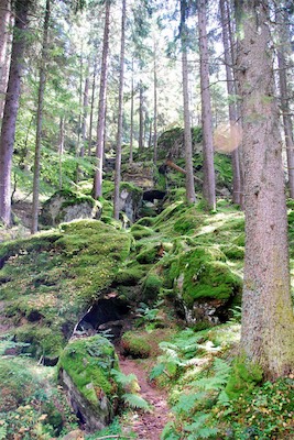 dsc_6054.jpg