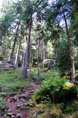 dsc_6055.jpg