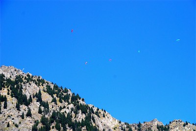 dsc_6060.jpg