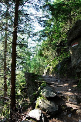 dsc_6136.jpg