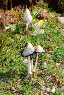 dsc_6148.jpg