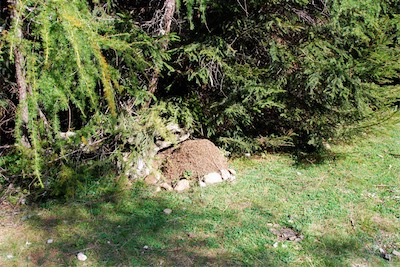dsc_6155.jpg