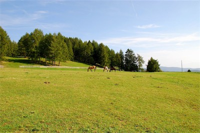 dsc_6166.jpg