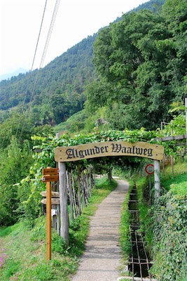 dsc_6201.jpg