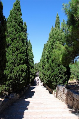 dsc_6742.jpg