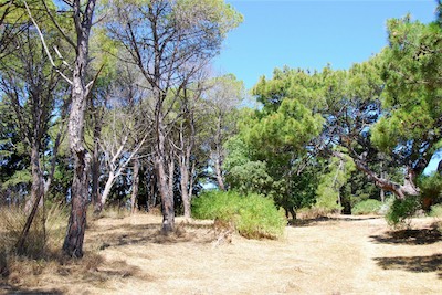 dsc_6752.jpg