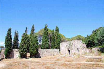 dsc_6756.jpg
