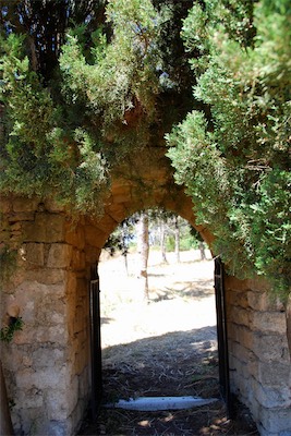 dsc_6766.jpg