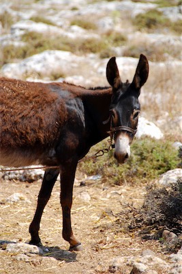 dsc_6611.jpg
