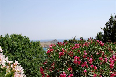 dsc_6612.jpg