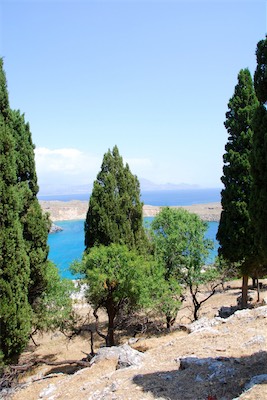 dsc_6635.jpg