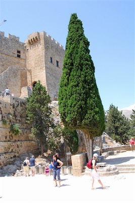 dsc_6640.jpg