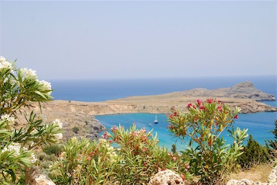 dsc_6685.jpg