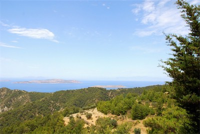 dsc_6942.jpg