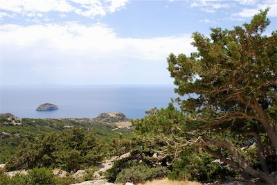 dsc_6957.jpg
