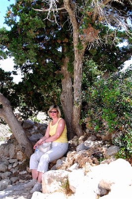 dsc_6971.jpg