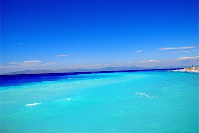 dsc_7079.jpg
