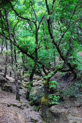 dsc_6804.jpg
