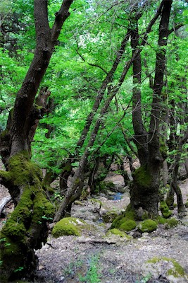 dsc_6806.jpg