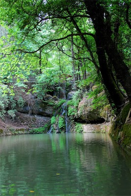 dsc_6807.jpg