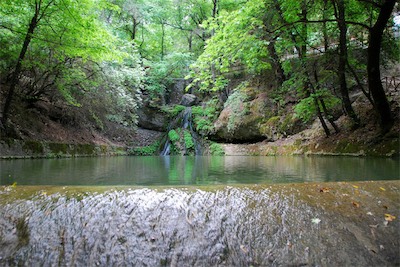 dsc_6809.jpg