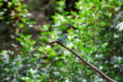 dsc_6818.jpg