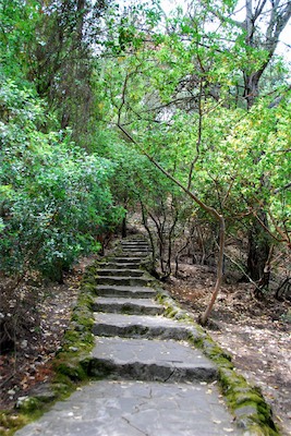 dsc_6820.jpg