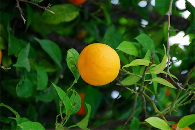dsc_6828.jpg