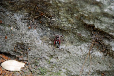 dsc_6829.jpg